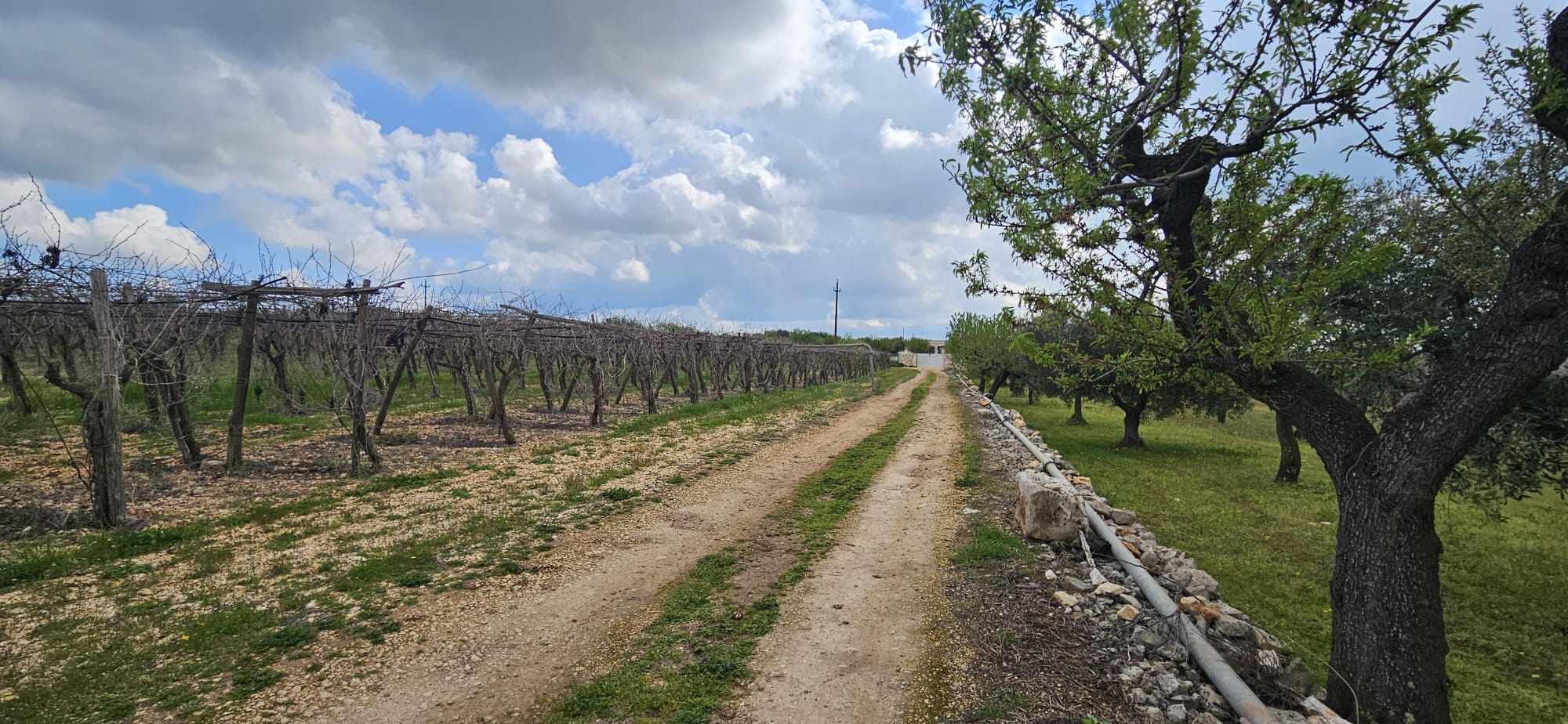 Terreno di 33.700 mq ca. con Fabbricato Rurale
